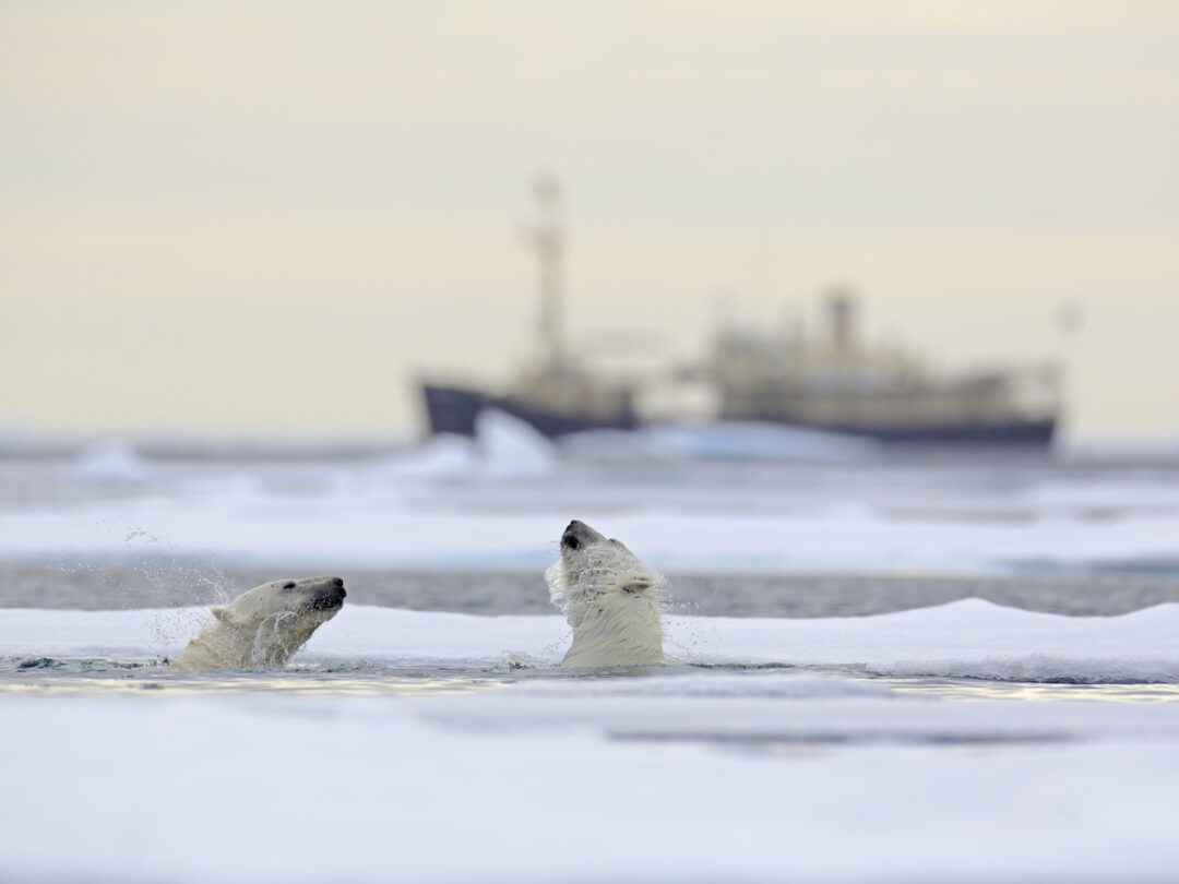 Maersk to Test Its First Arctic Shipping Route