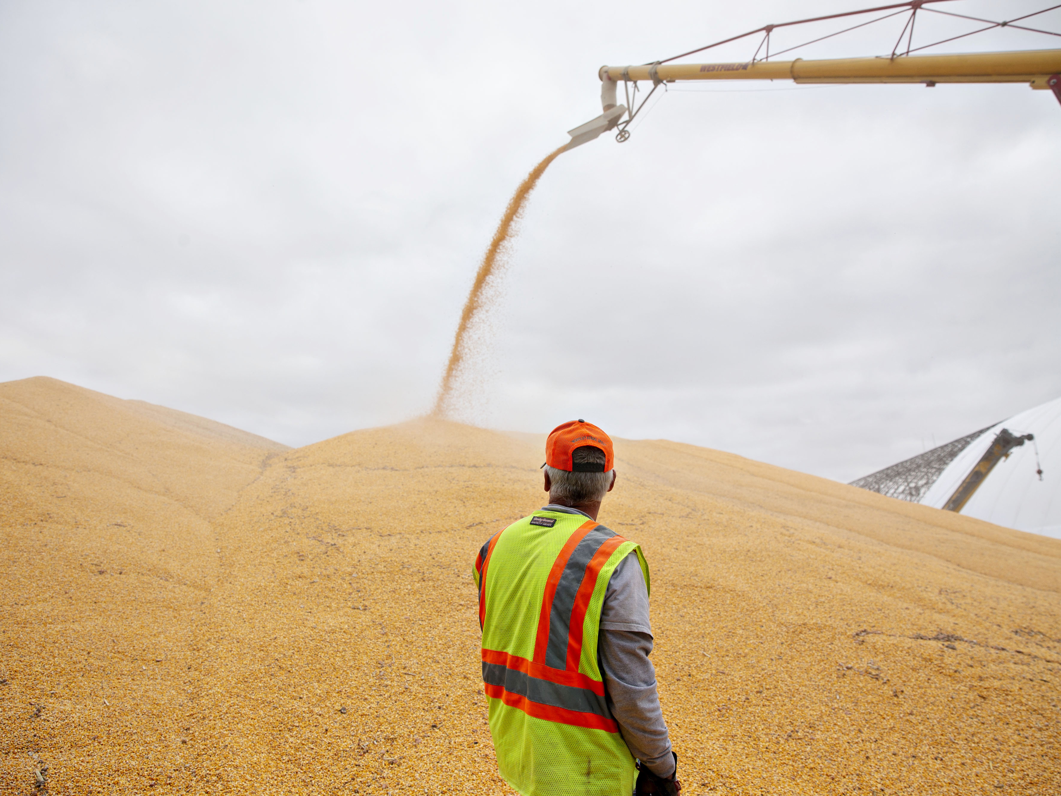 China's Trump Trade Retaliation Options Include Soybeans, Boeing