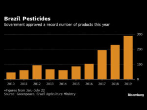 Bees Are Dropping Dead in Brazil, Sending Message to Humans