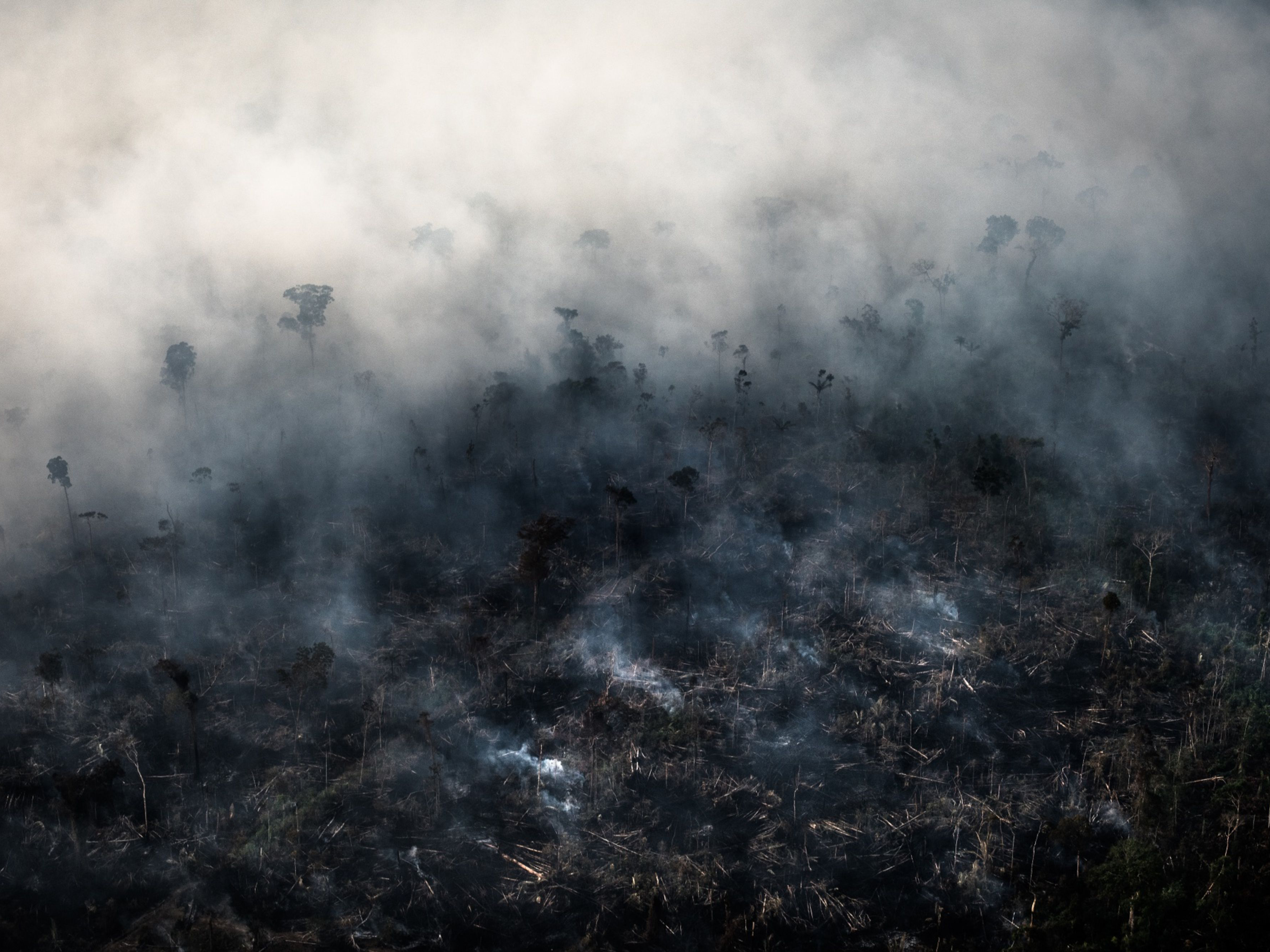 Brazil’s Neighbors Are Also Burning and Poisoning the Amazon