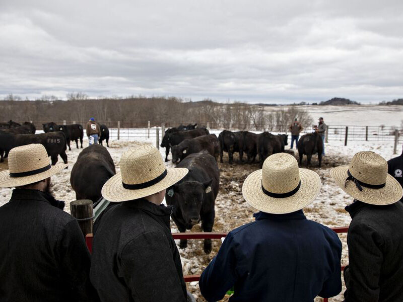 Workers Who Supply the World’s Food Are Starting to Get Sick