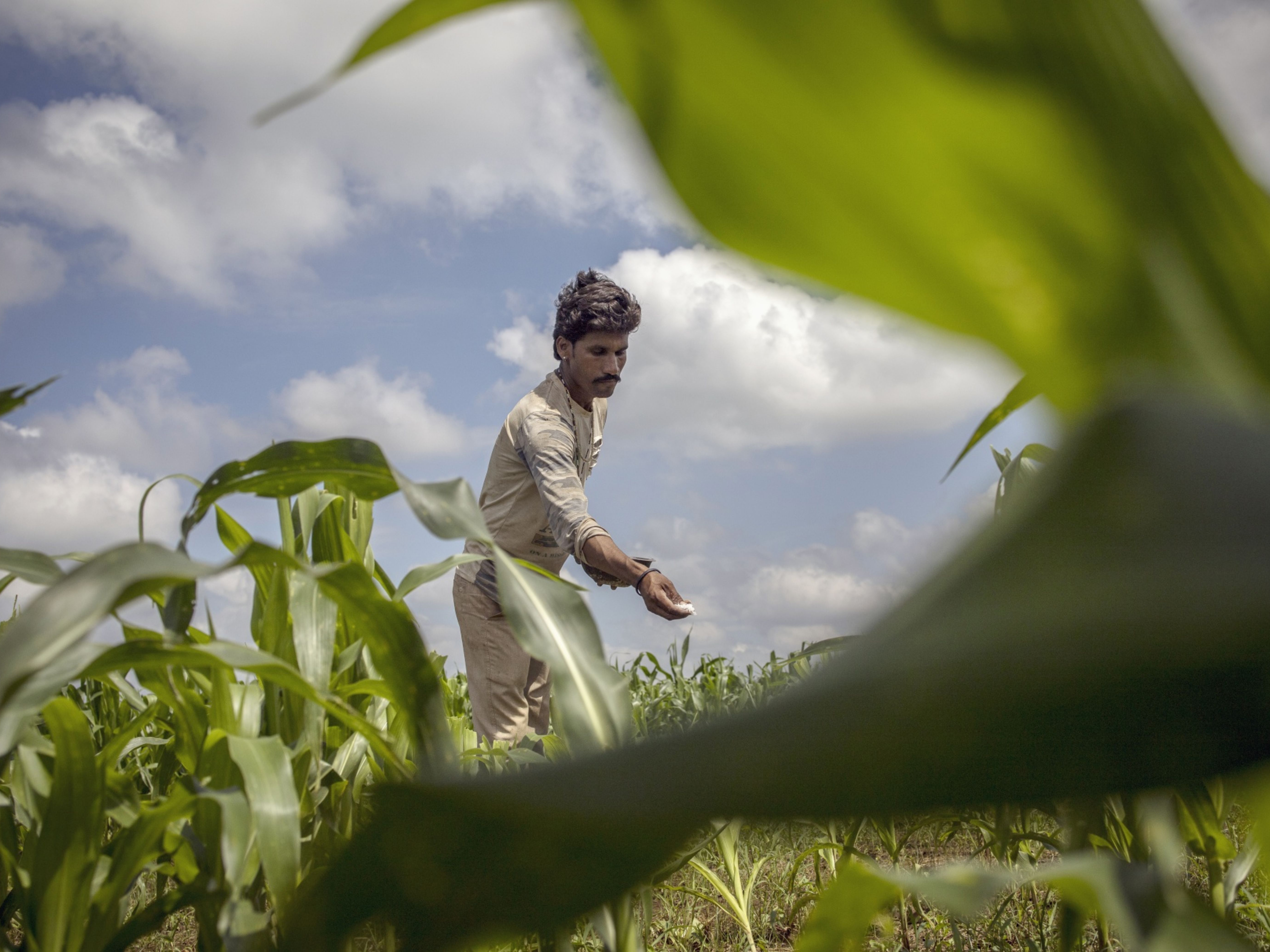 farmer