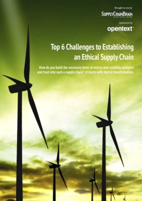 Top 6 Challenges to Establishing an Ethical Supply Chain