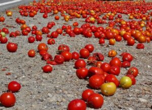 SPILLED TOMATOES iStock-498079313.jpg