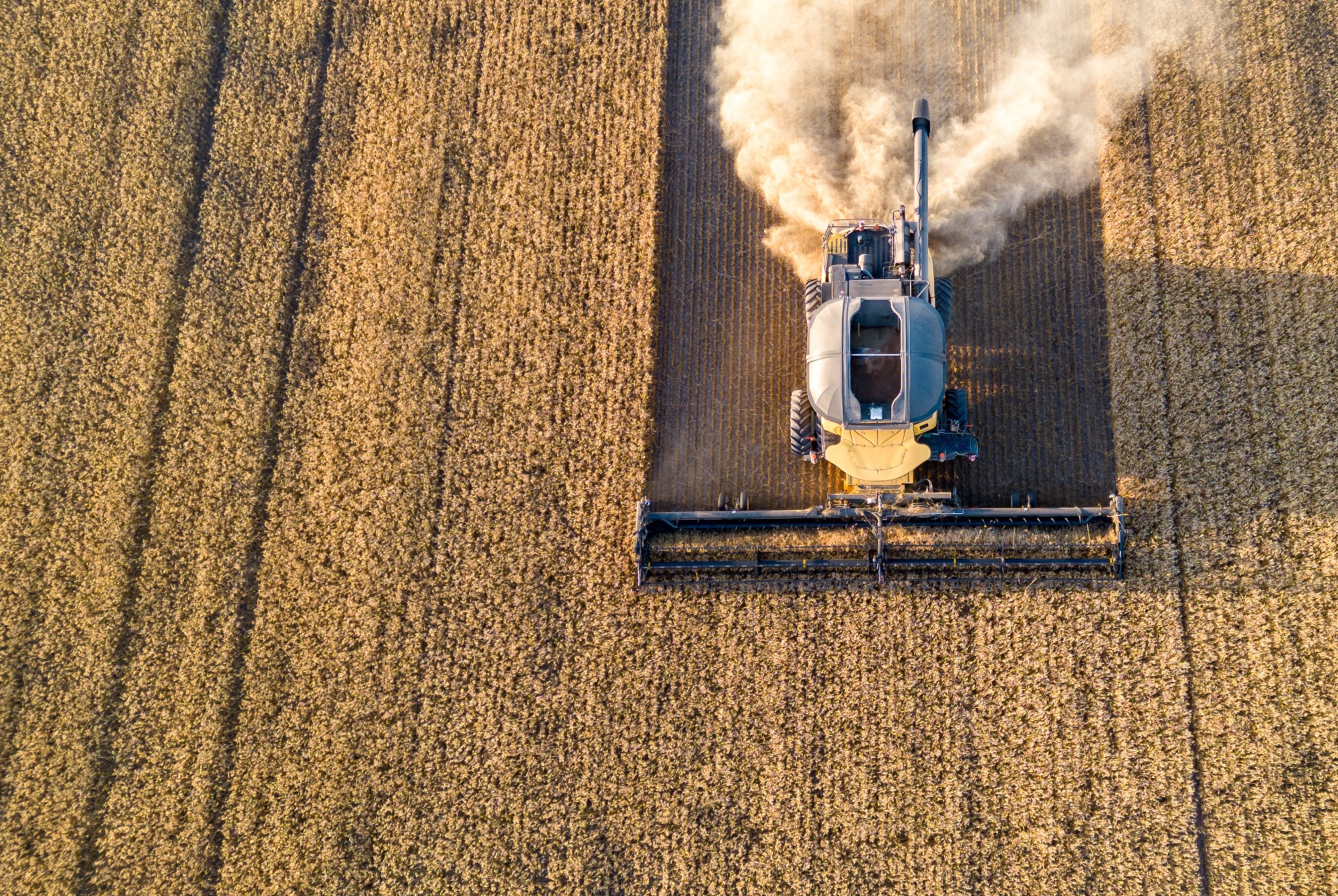 ARIEL PHOTO OF A COMBINE HARVESTER HARVESTING WHEAT GRAIN IN CANADA