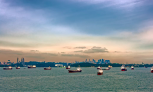 MULTIPLE CONTAINER SHIPS DOCKED IN THE SEA OUTSIDE A PORT