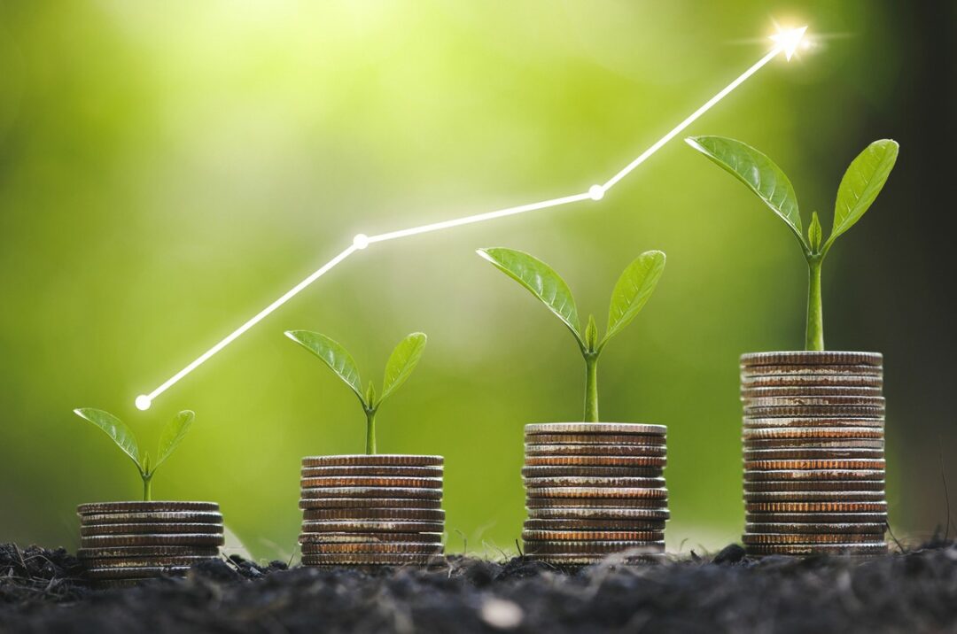 GREEN SHOOTS GROW OUT OF A ROW OF PILES OF COINS, IN ESCALATING HEIGHT