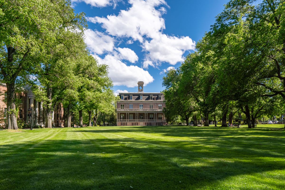 University of nevada istock wirestock 1446194896