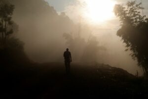 A LONE FIGURE STANDS IN MISTS IN A GIANT FOREST