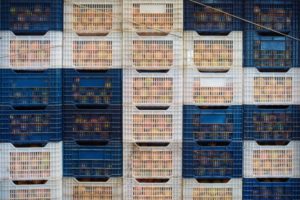 ORANGES SIT STACKED IN PLASTIC CRATES, MANY TIERS TALL