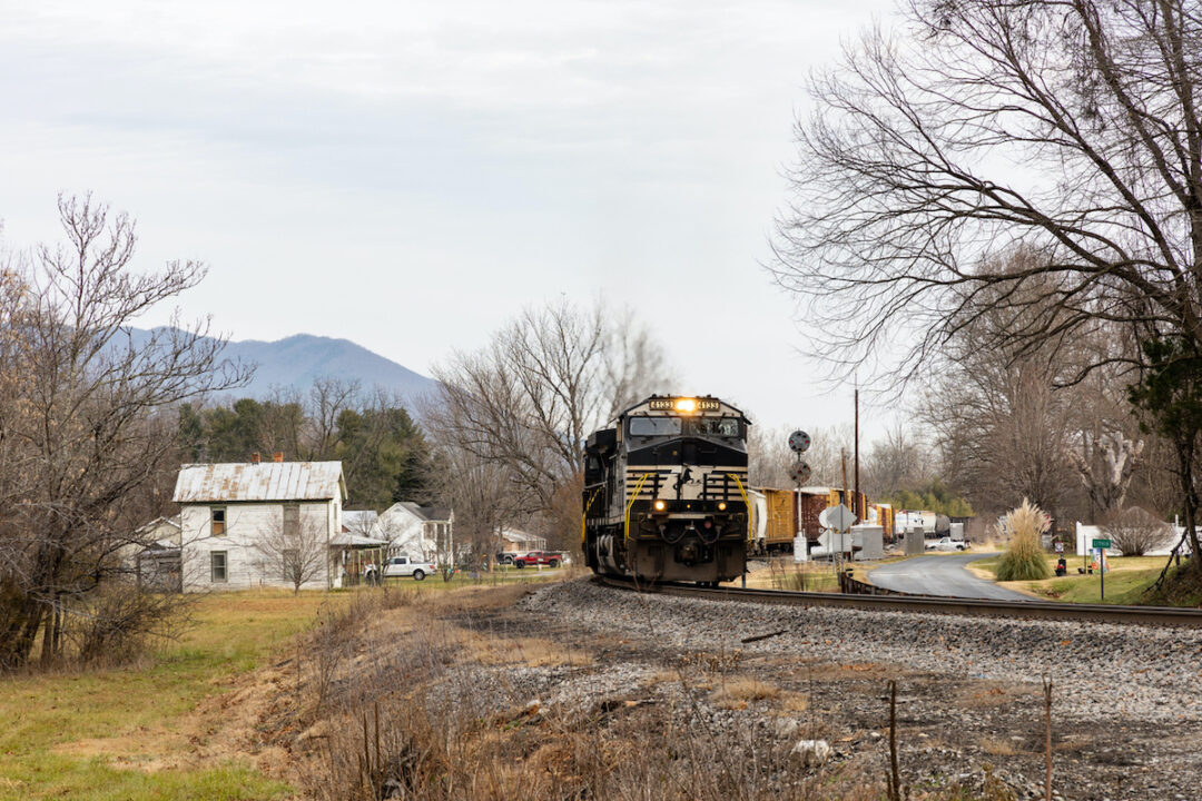 A NORFOLK SOUTHERN TRAIN IS GOING DOWN TRAIN TRACKS SURROUNDED BY HOUSES AND GRASS ON A GREY DAY.