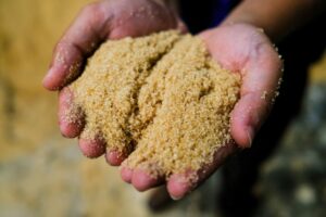 A PAIR OF OPEN HANDS HOLDS RAW SUGAR.