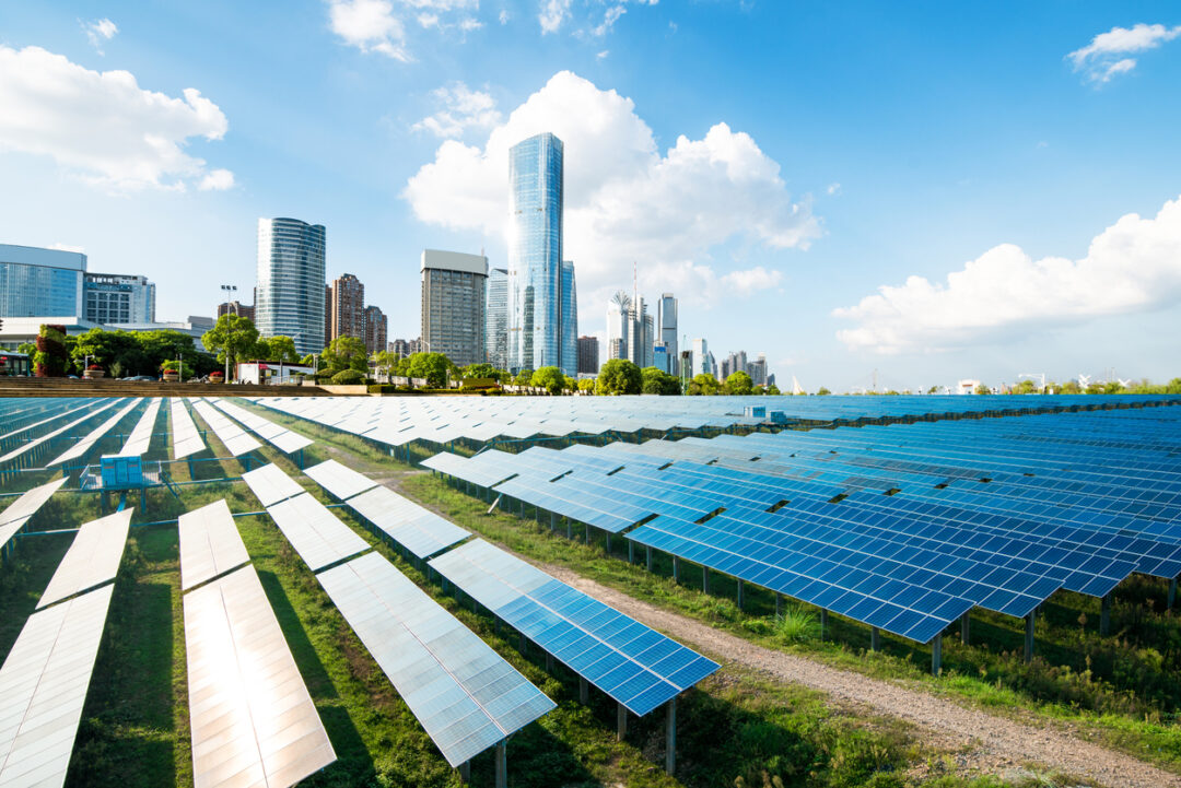 Rows of solar panels outside Shanghai, China. 