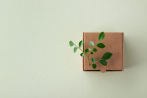 A brown cardboard box with a green plant growing out of the top.