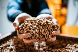 TWO HUMAN HANDS LIFT UP A HANDFUL OF WOOD PELLETS FROM A GIANT PILE