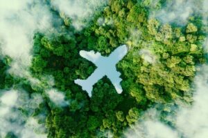 A lake in the shape of an airplane in the middle of untouched nature 