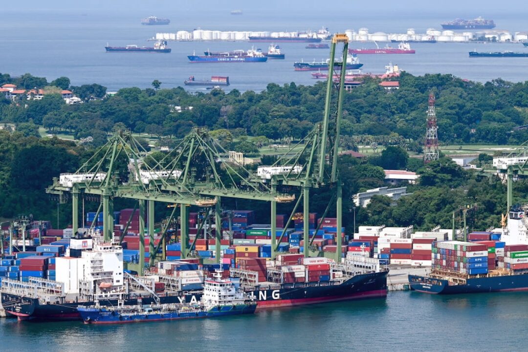 Container ships docked at a port below cranes, with containers stacked up on the shore