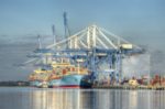 A blue container ship docked under three large blue shipping cranes