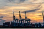 Three large shipping cranes in a port, next to stacks of shipping containers at sunset