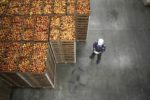 An above view of crates of red apples stacked on top of each other, next to a man in a plaid shirt and a white hard hat looking at a tablet. 