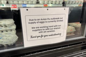 A grocery fridge containing stacks of egg cartons, with a sign on the outside warning of limited supplies of eggs due to an outbreak of avian flu.. 